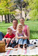 Smiling family having a picnic