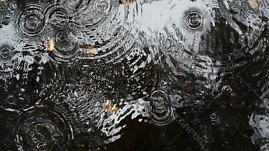 Rain drops rippling in a puddle on a dark, rainy day