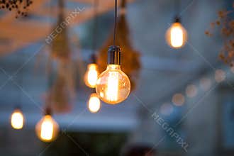 Rustic light bulb garden lights