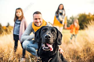 A young family with two small children and a dog on a meadow in autumn nature.