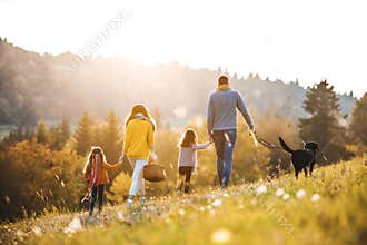 A rear view of family with two small children and a dog on a walk in autumn nature.
