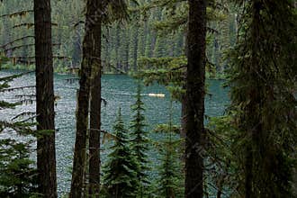 Wilderness Canada Green Environment Lightning Lake