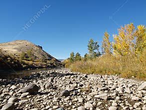 Stony riverbank