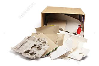 Waste Paper Products in Cardboard Box