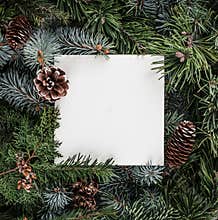 Creative layout made of Christmas tree branches with paper card note, pine cones. Xmas and New Year theme.