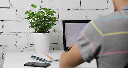 Programmer programming web site on laptop in office
