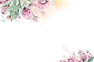 Watercolor Floral decoration spring summer background with blossom protea flower. Wedding decoration frame with floral