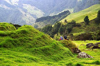 View of Cocora Valley in Salento, Colombia