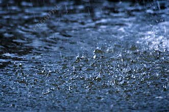 Rain
