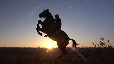 Horseman sits on a horse and gives him two legs in sunset . Slow motion. Silhouette. Side view