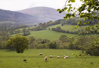 Countryside in Wales