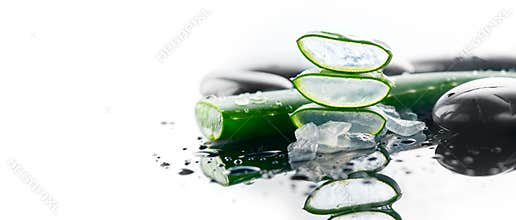 Aloe Vera sliced leaf and spa stones closeup on white background, natural organic renewal cosmetics, alternative medicine