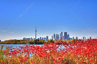 Toronto skyline