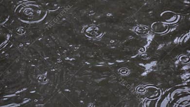 Water drops falling into puddle on asphalt.