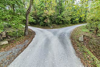 Fork in The Road