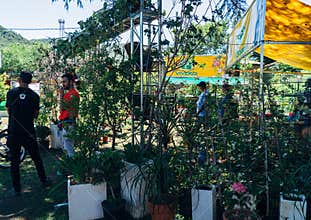 Parks and Garden Exposition in Argentina