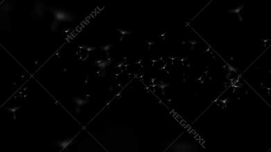 Dandelion blown seeds flying toward camera 3D render overlay loop