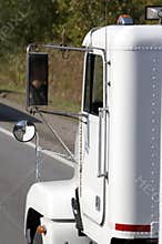Cab truck in detail