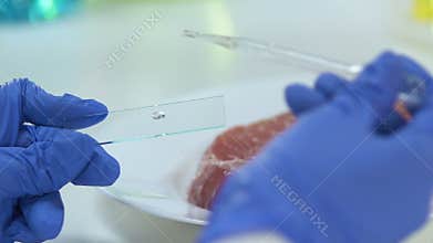 Scientist dripping liquid on glass, piece of meat on background, bacteriology