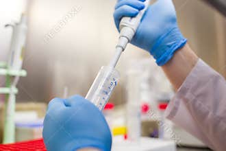 Laboratory work with plasmid DNA extraction
