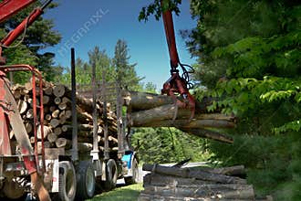 Logging