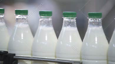 Plastic bottles with milk transported on automated production line