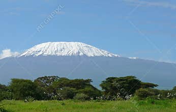 Kilimanjaro in Kenya