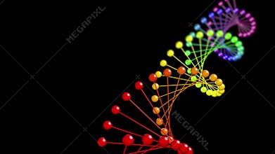 Rainbow Colored DNA Double Helix