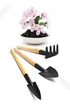 Agricultural tools and flower isolated on white background