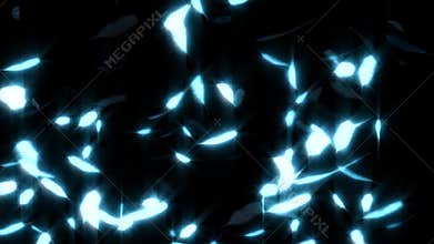 Blue Falling Glowing Feathers Loop Overlay Graphic Element