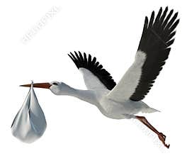 Stork & Baby