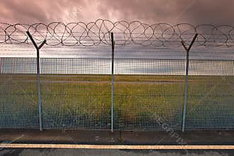 Barbed wire
