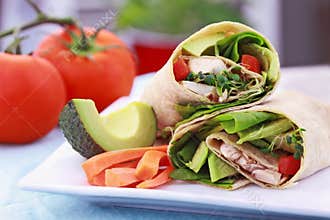 Vegetarian Sandwich Wrap