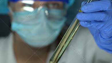 Laboratory worker checking yellow liquid test tube, essential oils in perfumery