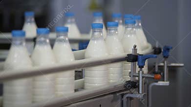 Plastic bottles with milk transported on automated production line