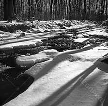 Winter Stream in Northern Maryland