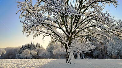 Idyllic rural winter footage in winter