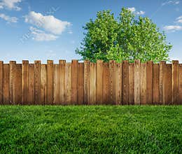 Spring tree in backyard and wooden fence