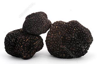 Truffle