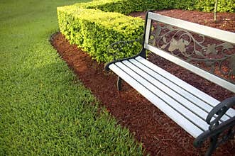 Park Bench