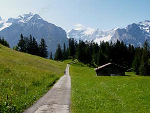 Walking path into the swiss alps