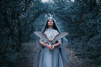 Mysterious sorceress with a bird