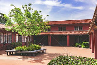 Red Courtyard with a Tree