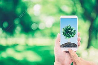 Hand of man holding mobile phone with soil and tree on screen.