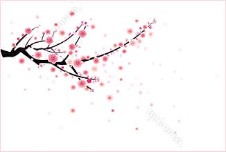 Cherry or plum blossom pattern