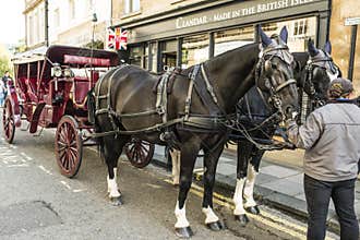 Horse Carriage