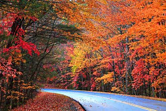 Blue Ridge Parkway Fall