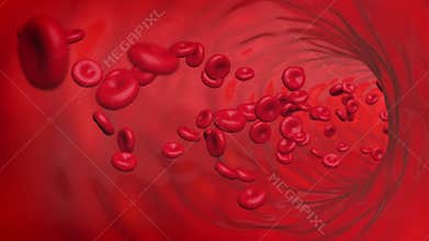 Red blood cells loop flowing inside vessel 4K