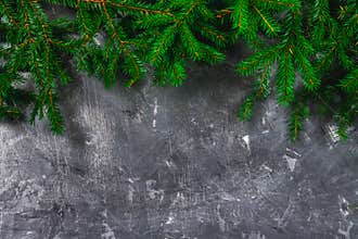 Spruce New Year's branches on top of a gray concrete background. New Year Christmas. Free space for text.