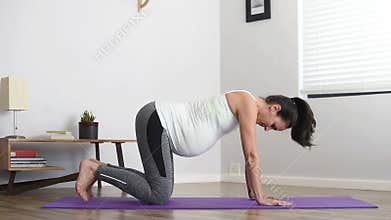 Fitness pregnant woman exercising